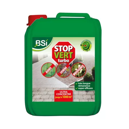 Biocide contre les dépôts verts - BSI STOP VERT TURBO - VL18437