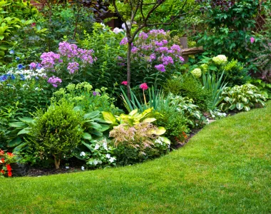 Le guide pour bien protéger son jardin en cas de canicule