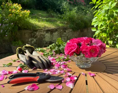Outil de jardinage, bouquet de fleur