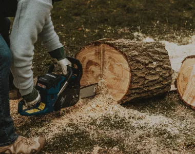 Un homme portant des jeans et des gants de travail, est accroupi et utilise une tronçonneuse pour couper un grand tronc d'arbre. De la sciure de bois est dispersée sur le sol autour de la bûche.