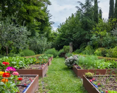 Nos conseils pour faire son premier potager