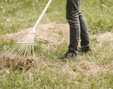 fini le ramassage avec l'option mulching