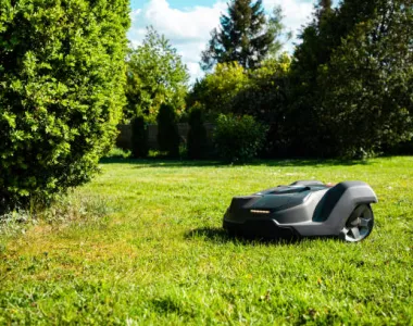 robot de tonte