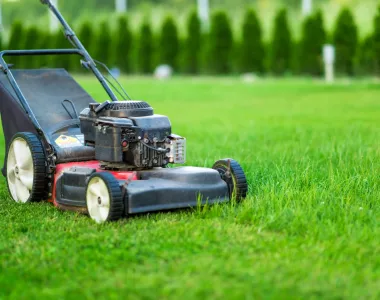 Comment choisir sa tondeuse à gazon ?