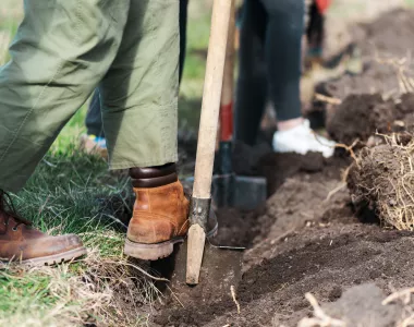 outils de jardinage à main